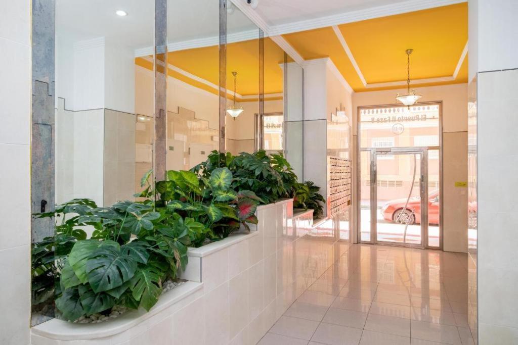 Bonito Apartamento En Torrevieja Exteriér fotografie